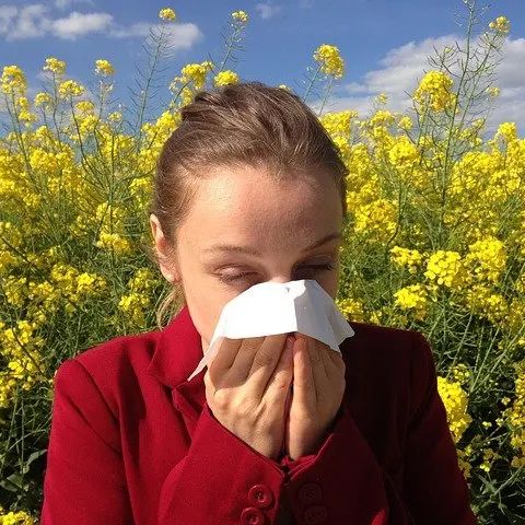 Allergien natürlich behandeln