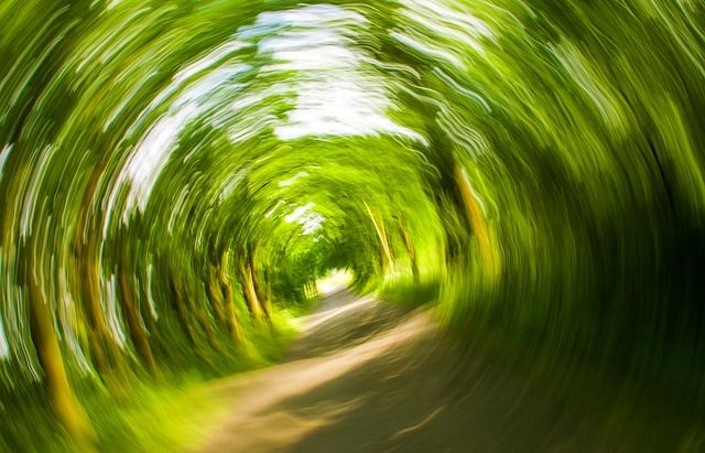 Schwindel,_eine_ungewollte_Karussellfahrt