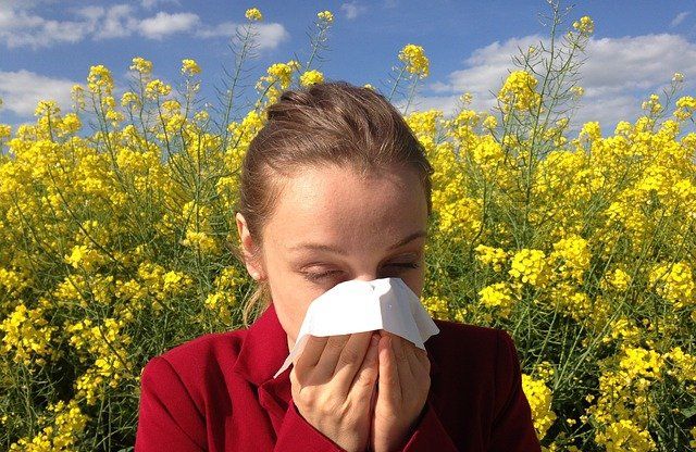Allergien natürlich behandeln